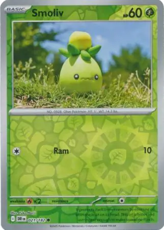 021/182 Smoliv DRI Common Reverse Holo
