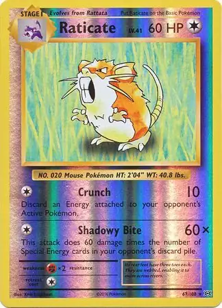 67/108 Raticate EVO Rare Reverse Holo