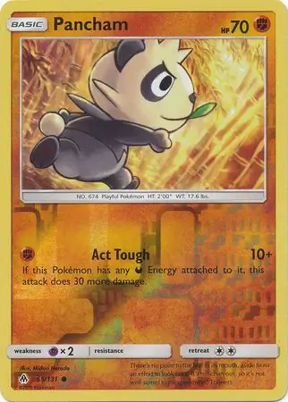 65/131 Pancham FLI Common Reverse Holo