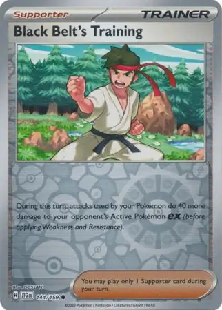 Black Belt's Training Journey Together 144/159 Common Reverse Holo