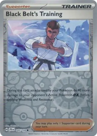 Black Belt's Training Journey Together 145/159 Common Reverse Holo