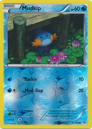 33/160 Mudkip PRC Common Reverse Holo