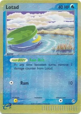 66/100 Lotad SS Common Reverse Holo