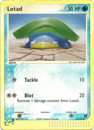 67/100 Lotad SS Common Reverse Holo