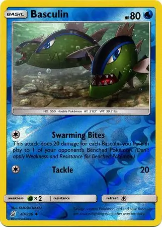 43/236 Basculin UNM Uncommon Reverse Holo