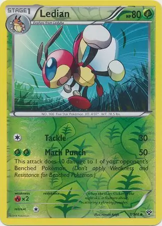 7/146 Ledian XY Uncommon Reverse Holo